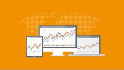 Beginners Binary Options Training Course