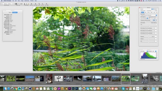 Iridient Developer 3.2.2 macOS 