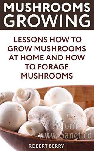 Mushrooms Growing: Lessons How to Grow Mushrooms at Home And How To Forage Mushrooms