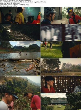 Blood Road 2017 WEBRip x264-13