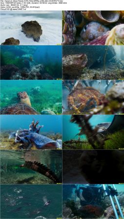 Blue Planet II S01 720p BRRip x264 AAC DiVERSiTY