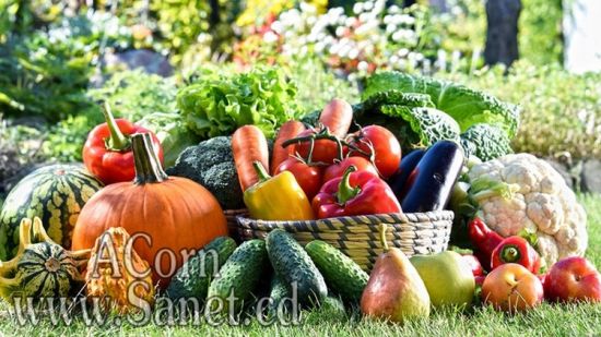 Paleo Diet Bootcamp : Lose Weight &amp; Gain Energy with Foods