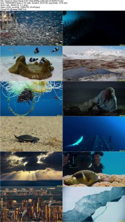Blue Planet II S01 720p BRRip x264 AAC DiVERSiTY