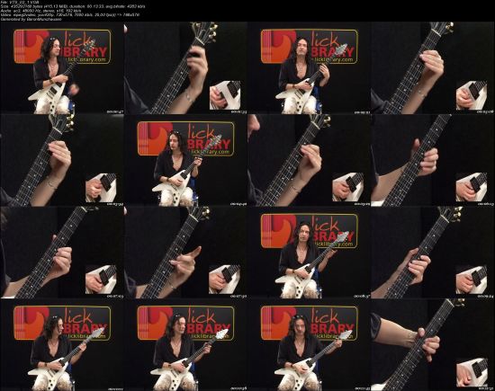 Learn To Play Michael Schenker &amp; UFO