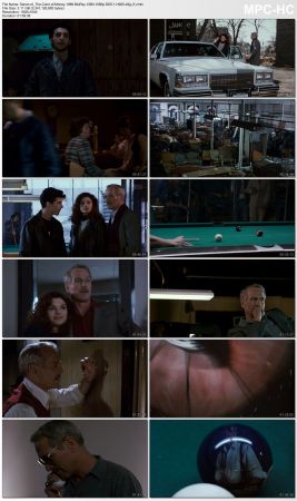 The Color of Money 1986 BluRay 10Bit 1080p DD5.1 H265-d3g