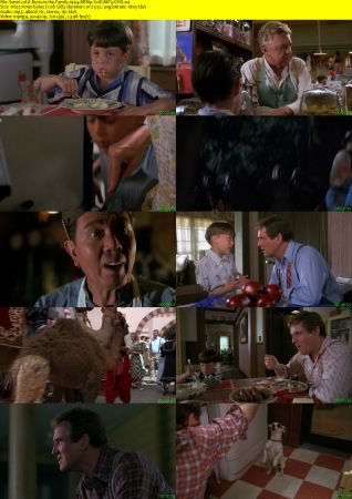 It Runs in the Family 1994 BRRip XviD MP3-XVID