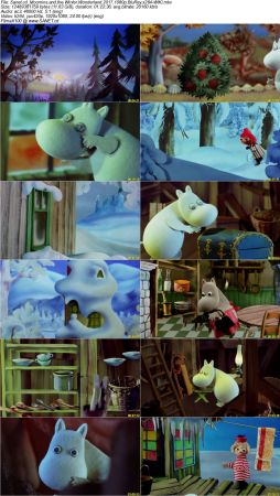 Moomins and the Winter Wonderland 2017 1080p BluRay x264-WiKi