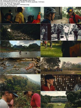 Blood Road 2017 1080p WEBRip x264-13