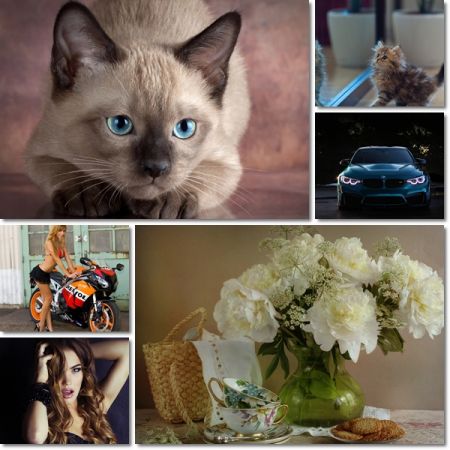 Desktop Beautiful Wallpapers Pack 1099