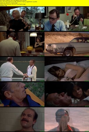 Breezy 1973 720p BluRay x264-x0r