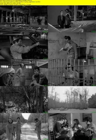 Down by Law 1986 BRRip XviD MP3-XVID