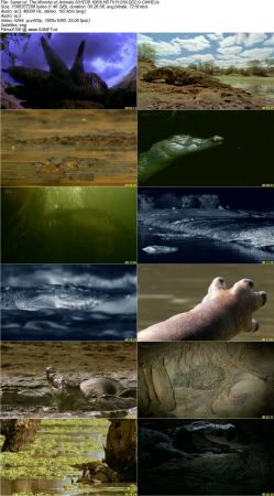 The Wonder of Animals S01 1080i HDTV H264 DD2.0-CtrlHD