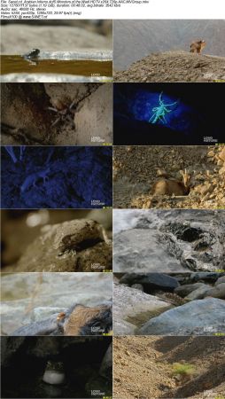 Blink Films - Arabian Inferno 2017 HDTV x264 720p AAC MVGroup