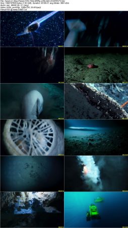Blue Planet II S01 720p BRRip x264 AAC DiVERSiTY