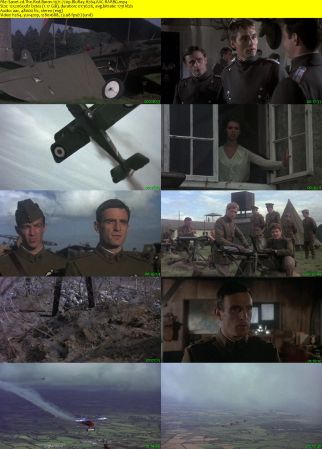 The Red Baron 1971 720p BluRay H264 AAC-RARBG