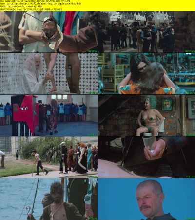 The Holy Mountain 1973 BRRip XviD MP3-XVID