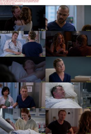 Greys Anatomy S14E17 iNTERNAL 720p WEB x264-BAMBOOZLE