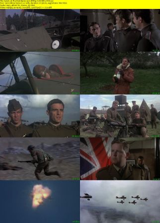 The Red Baron 1971 BRRip XviD MP3-XVID