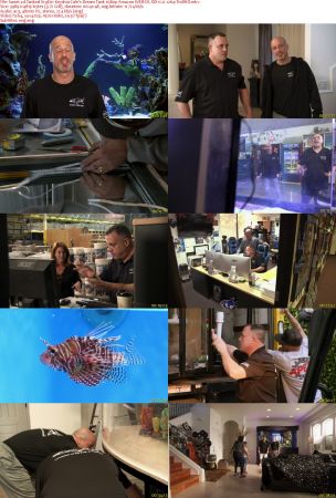Tanked S14E01 Keyshia Coles Dream Tank 1080p AMZN WEBRip DDP2.0 x264-TrollHD