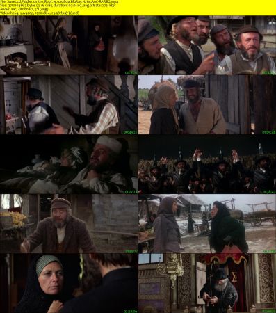Fiddler on the Roof 1971 1080p BluRay H264 AAC-RARBG