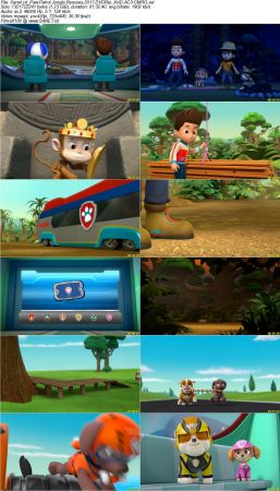 Paw Patrol Jungle Rescues 2017 DVDRip XviD AC3-CMRG