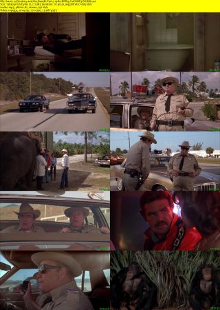 Smokey and the Bandit Part 2 1980 BRRip XviD MP3-RARBG