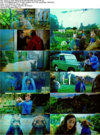 Peter Rabbit 2018 HDCAM XViD AC3-ETRG