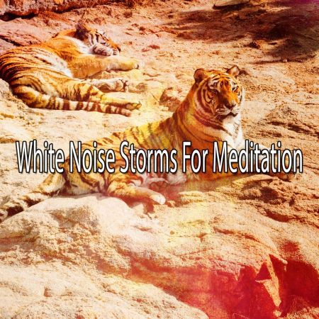 Rain for Deep Sleep - White Noise Storms For Meditation (2018)