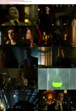 Gotham S04E13 720p HDTV x264-AVS