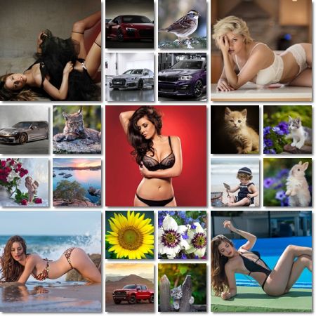 Computer Desktop Wallpapers Collection Pack 1086