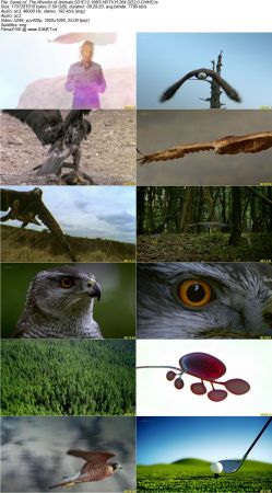 The Wonder of Animals S01 1080i HDTV H264 DD2.0-CtrlHD
