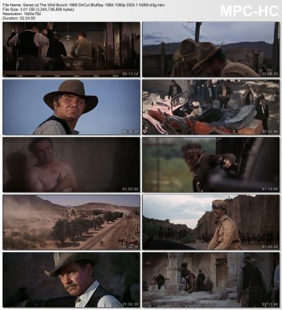 The Wild Bunch 1969 DirCut BluRay 10Bit 1080p DD5.1 H265-d3g