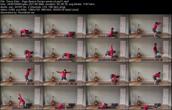 TRAVIS ELIOT - Yoga Basics Series 2015