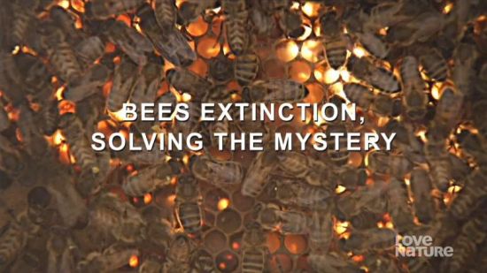 Mona Lisa Production - Bees Extinction, Solving the Mystery 2008 720p AAC MVGroup