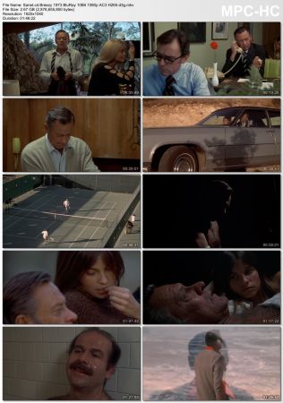 Breezy 1973 BluRay 10Bit 1080p AC3 H265-d3g