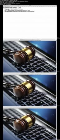 Business Laws in Ecommerce