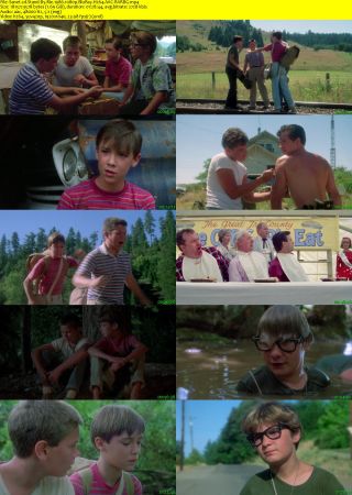 Stand By Me 1986 1080p BluRay H264 AAC-RARBG
