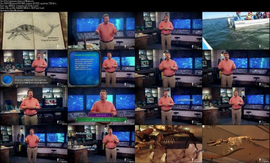 TTC Video - Life in the World's Oceans