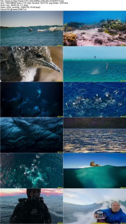 Blue Planet II S01 720p BRRip x264 AAC DiVERSiTY