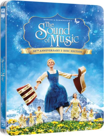 The Sound Of Music 1965 BRRip XviD MP3-XVID