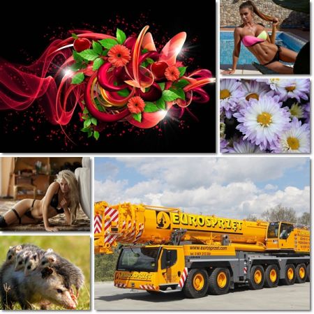Best Beautiful Wallpapers Pack 1092
