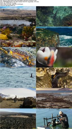 Blue Planet II S01 720p BRRip x264 AAC DiVERSiTY