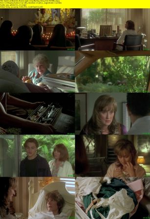 Marvins Room 1996 720p BluRay H264 AAC-RARBG