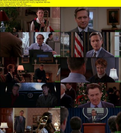 The American President 1995 BRRip XviD MP3-XVID