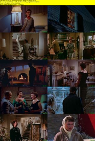 All That Heaven Allows 1955 BRRip XviD MP3-XVID