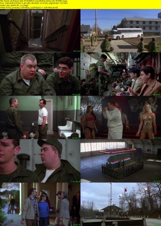 Stripes 1981 EXTENDED 720p BluRay H264 AAC-RARBG