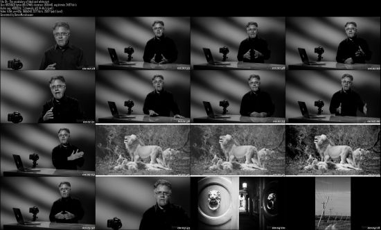 Lynda - Foundations of Photography: Black and White