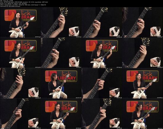 Learn To Play Michael Schenker &amp; UFO