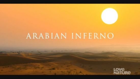 Blink Films - Arabian Inferno 2017 HDTV x264 720p AAC MVGroup