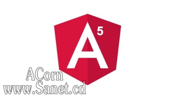 Angular 5 Concept Mastery Course
